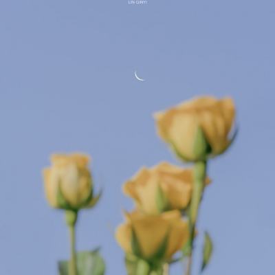 明日特攻队测试版下载